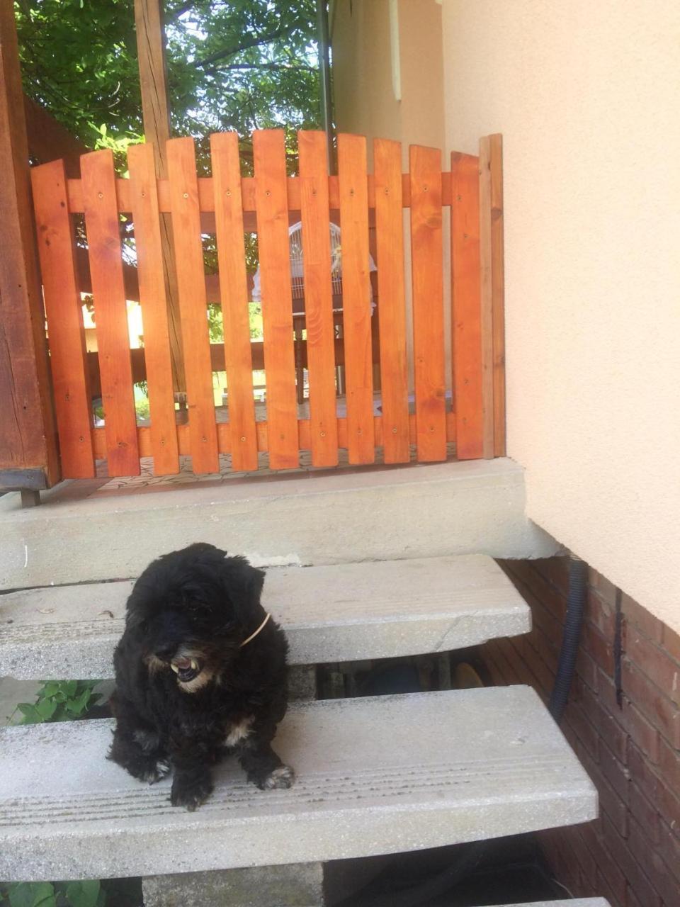 Ady Endre 9.A Appartement Balatonfůzfő Buitenkant foto